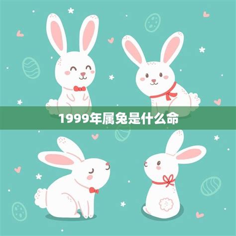 1999属兔|1999年属兔是什么命 兔命里缺啥 一生命运怎样